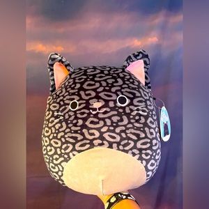 XIOMARA the 10/12” squishmallow cat